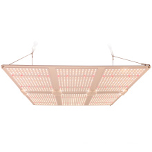 Full Spectrum LUX Lighting 1000w 1200w led grow light